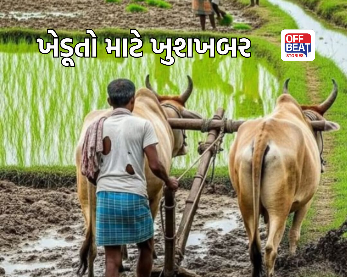 ગુજરાતના ખેડૂતો માટે મોટી ખુશખબર
