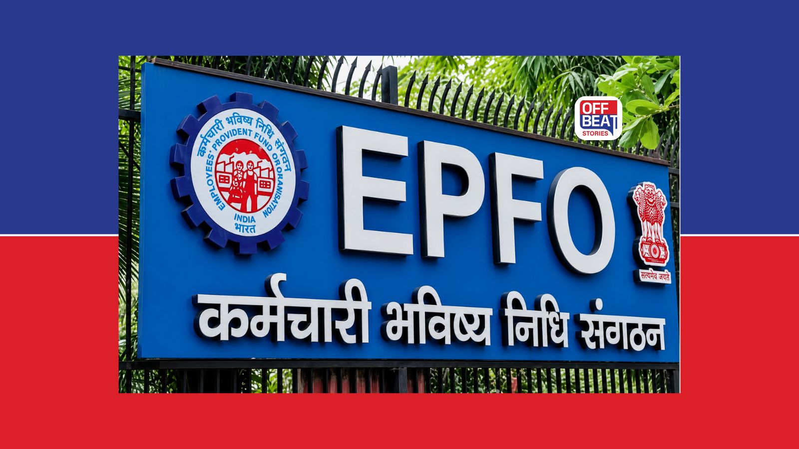 PF Account Balance કેવી રીતે ચેક કરવું?