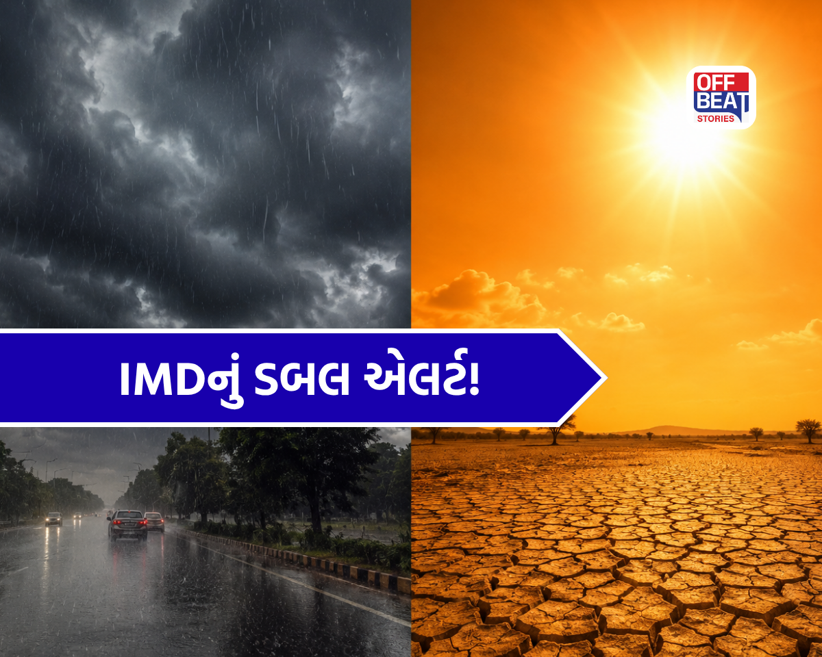 4 રાજ્યોમાં ભારે વરસાદ માટે રેડ એલર્ટ