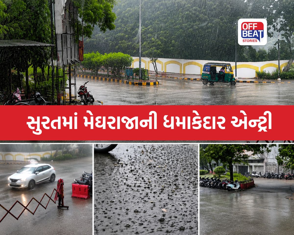 ધોળા દિવસે જ અંધારપટ છવાયું!