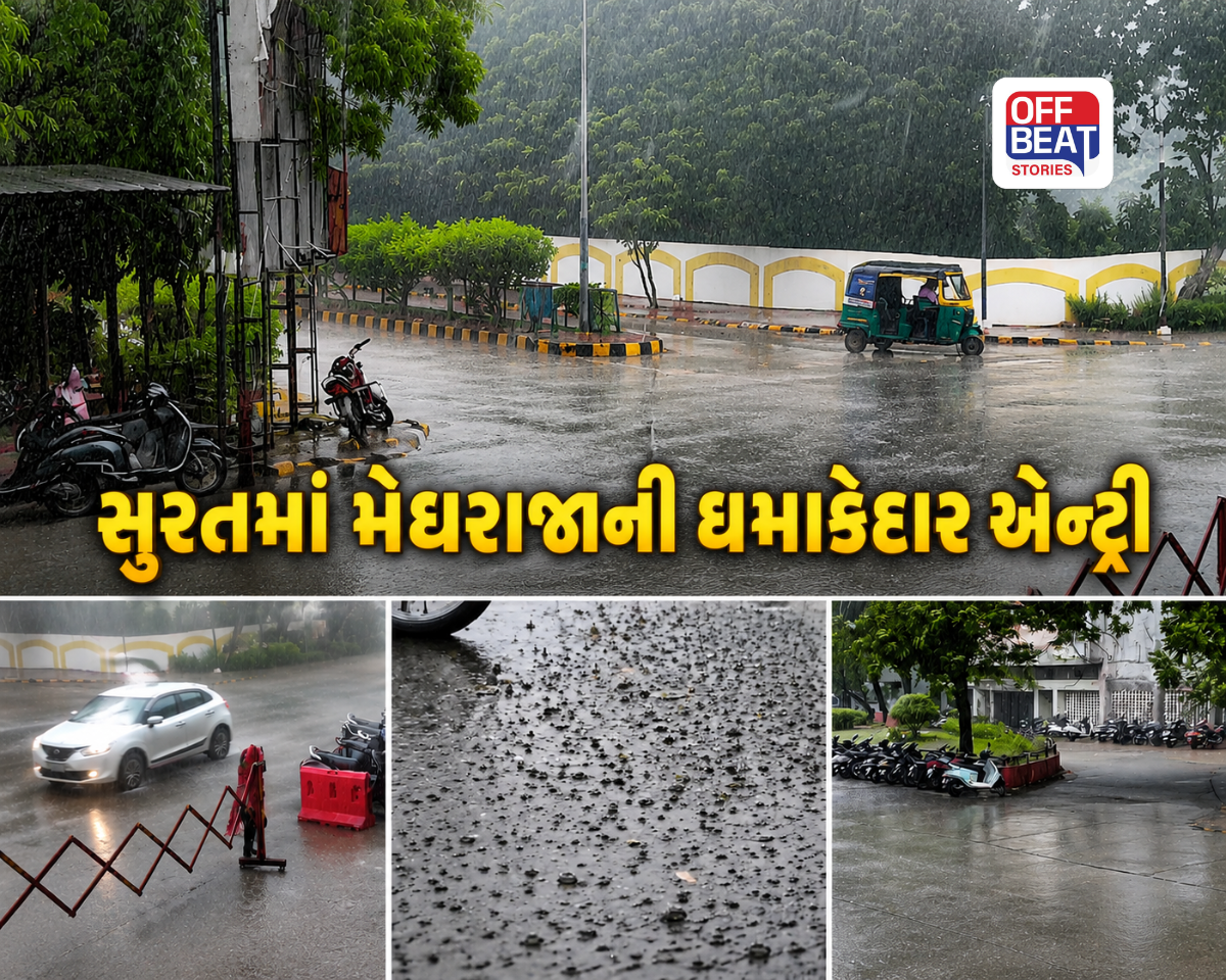 ધોળા દિવસે જ અંધારપટ છવાયું!