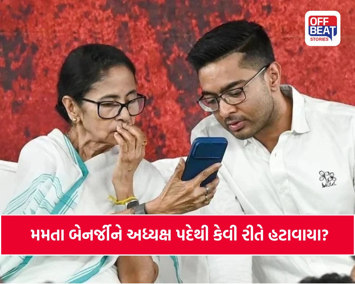 TMC અધ્યક્ષ પદેથી મમતા બેનર્જીને હટાવાયા