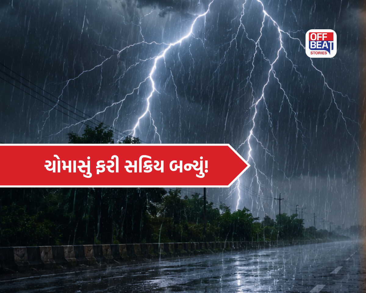 ચોમાસાએ ફરી પકડી રફ્તાર