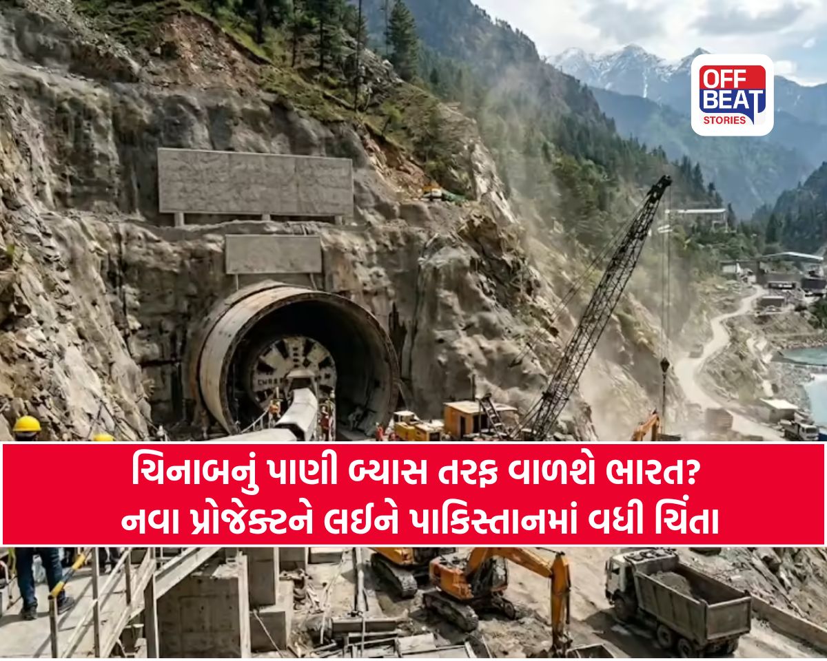 કેવી હશે ભારતની એ સીક્રેટ ટનલ