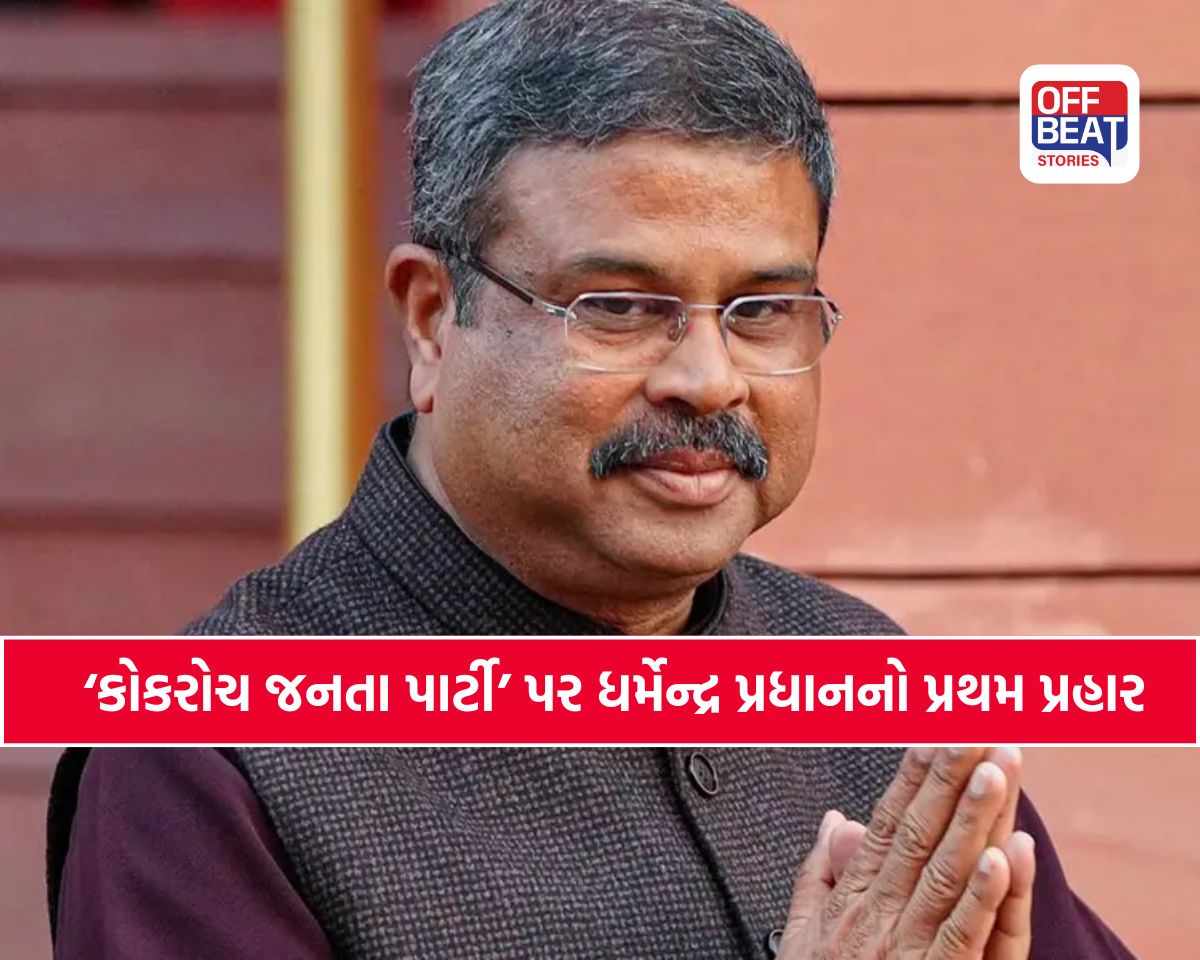 ‘આ અરાજક તત્વોની B ટીમ’