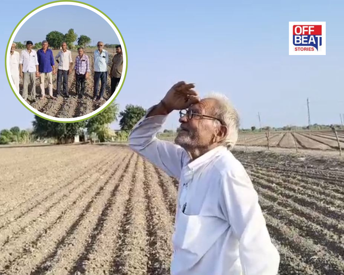 વરસાદ ખેંચાતા જૂનાગઢ માણાવદરના ખેડૂતો ચિંતિત