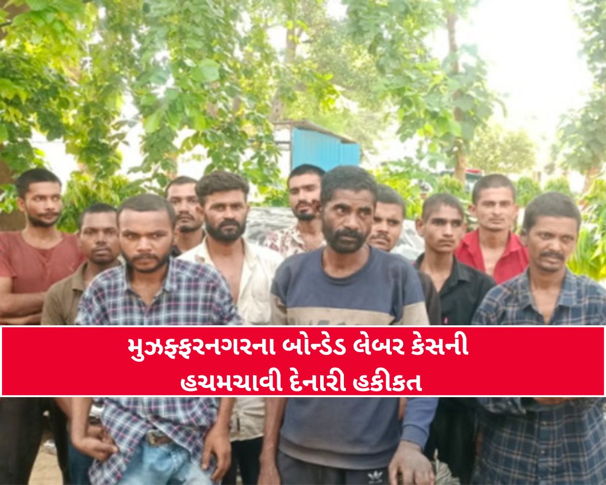 Muzaffarnagar: સૂકી રોટલી, કોરડા અને કૂતરાઓનો ડર