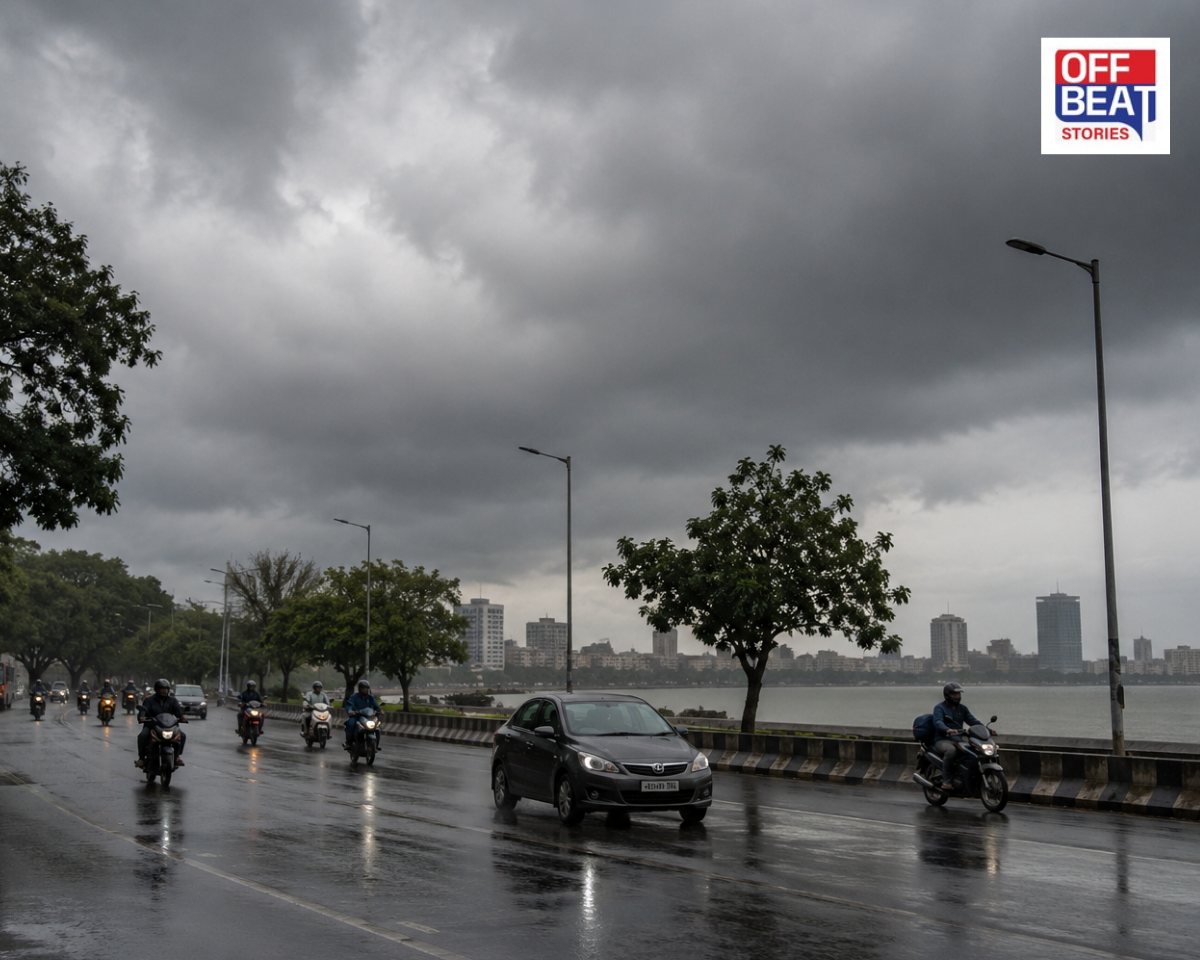 ગુજરાતમાં આગામી 7 દિવસ વરસાદી માહોલ રહેશે યથાવત્