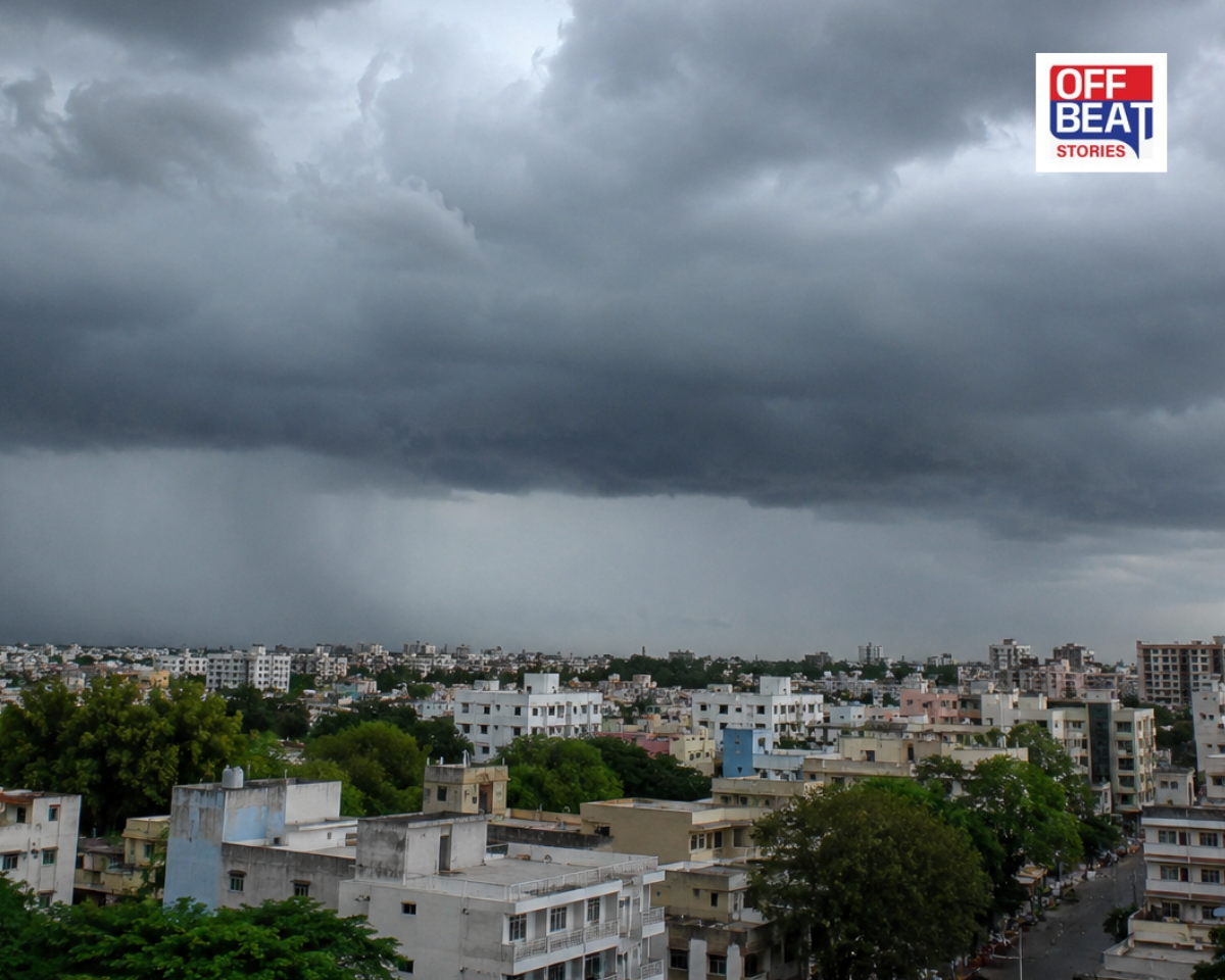 ગુજરાતમાં વરસાદી સિસ્ટમ સક્રિય