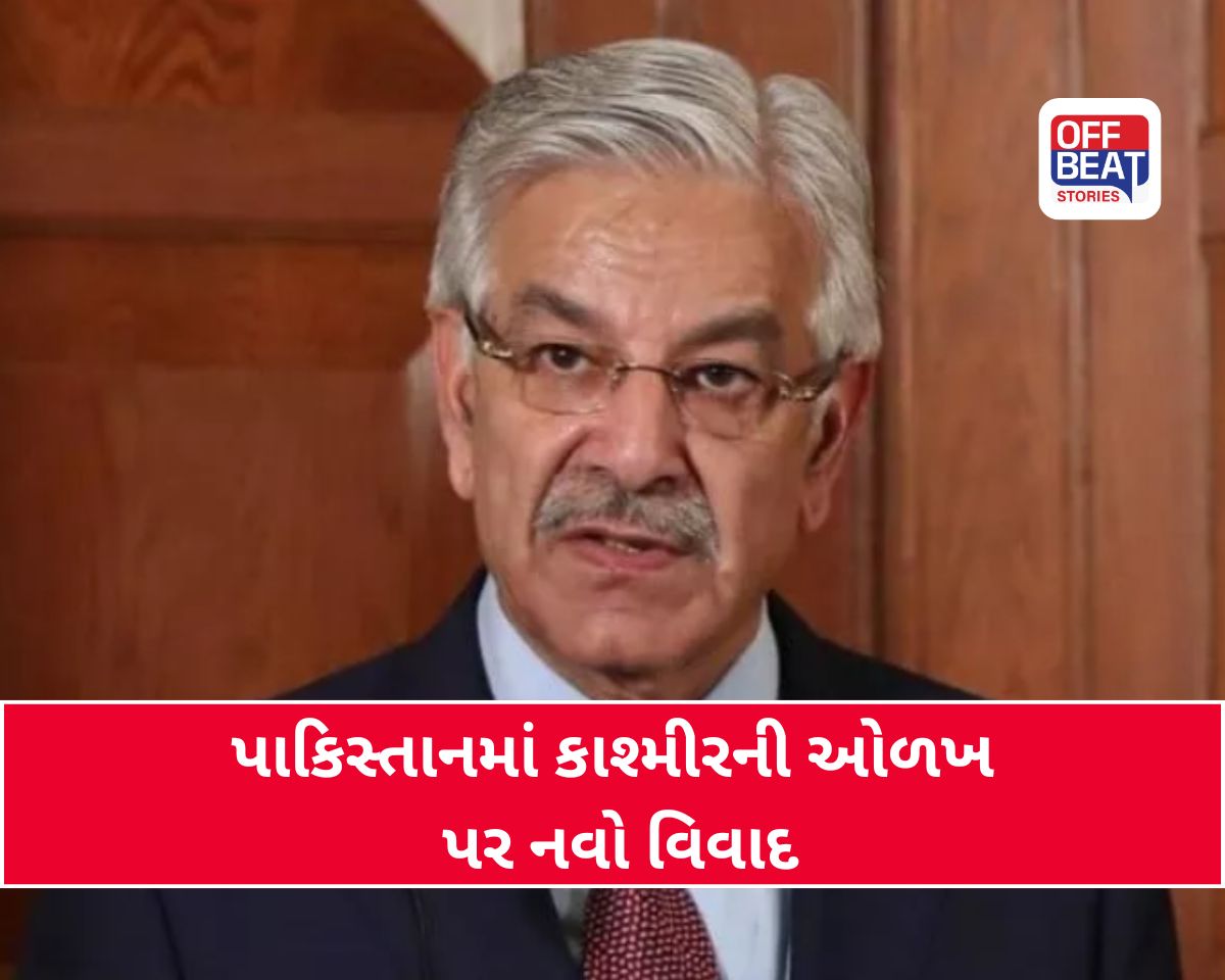 'અમે કાશ્મીરી છીએ કે નહીં તેનું પ્રમાણપત્ર કોઈ પાસેથી લેવાની જરૂર નથી'