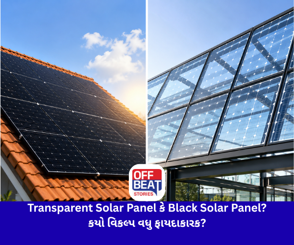 Transparent Solar Panel કે Black Solar Panel?
