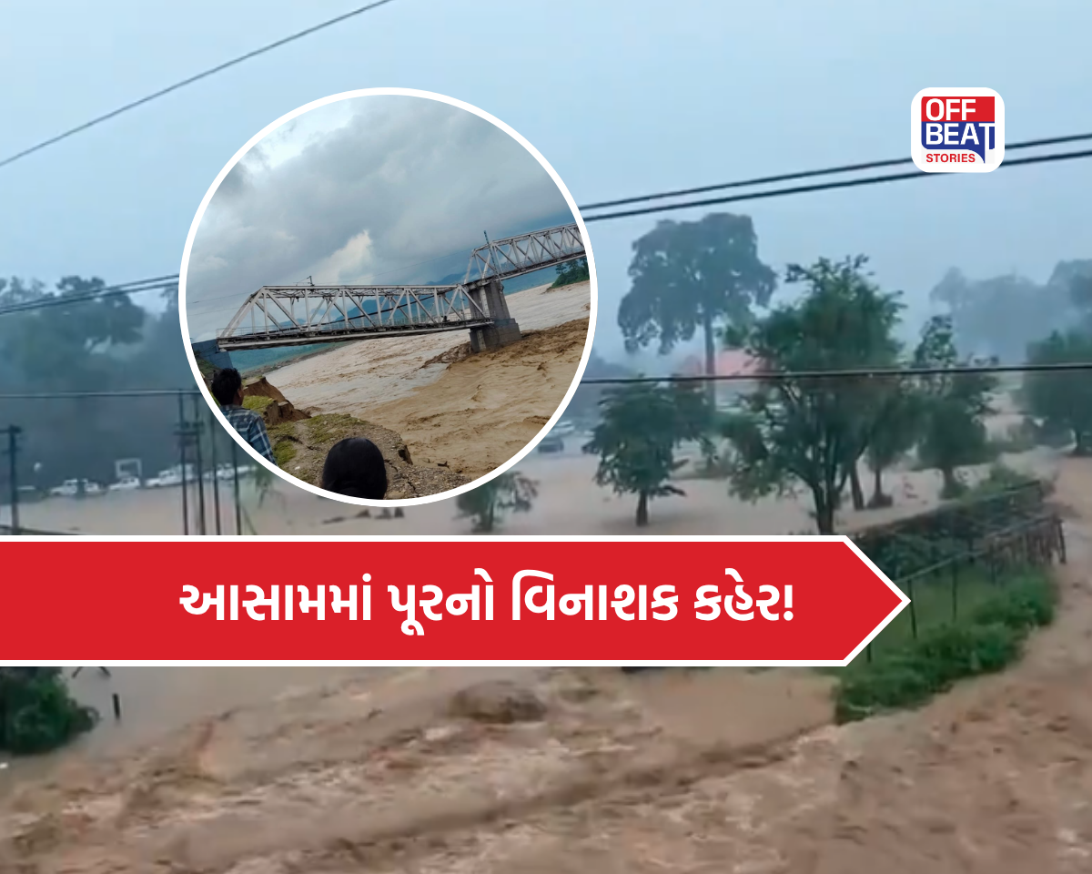 આસામમાં પૂરથી હાહાકાર!
