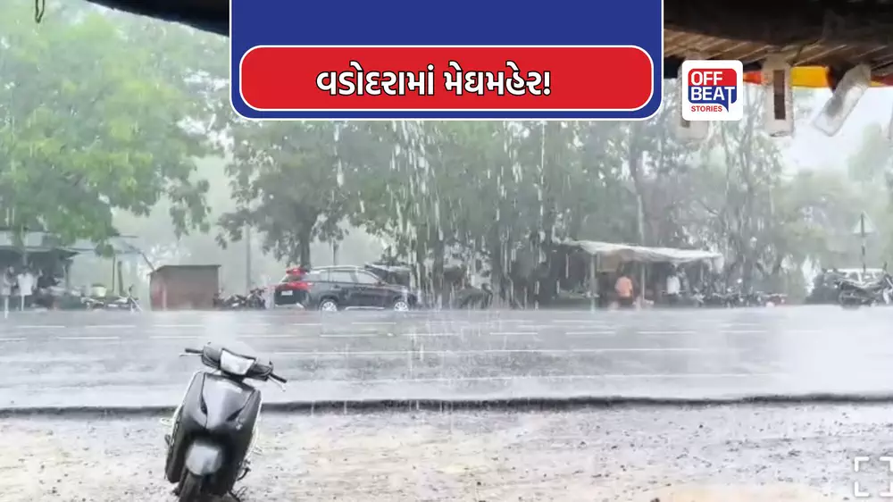 વડોદરા શહેર અને ડભોઈમાં મેઘરાજાની ધમાકેદાર એન્ટ્રી
