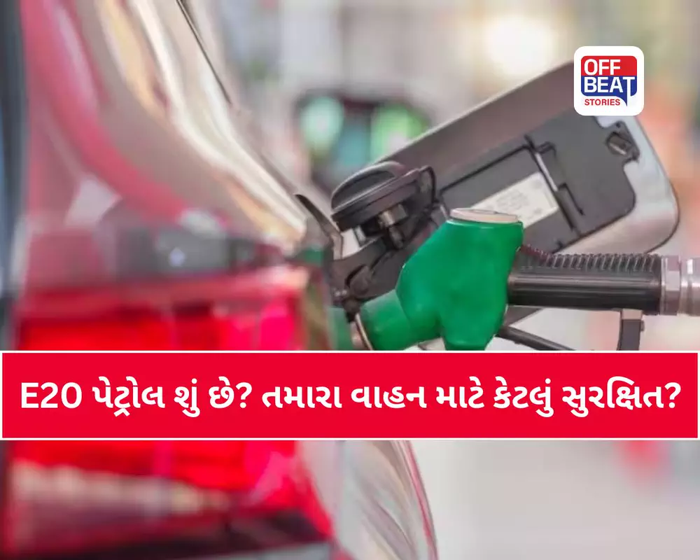 'પેટ્રોલમાં ઈથેનોલ ભેળવવું એ તો એક પ્રયોગ'