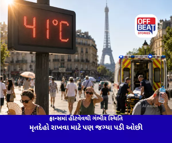 ફ્રાન્સમાં હીટવેવથી ગંભીર સ્થિતિ