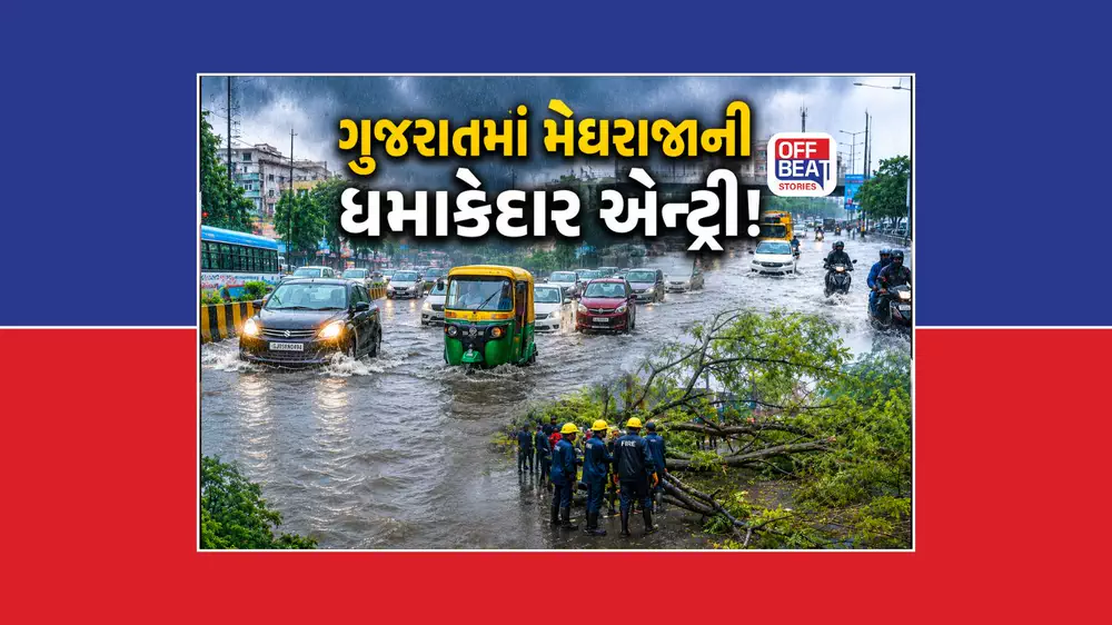 દક્ષિણ ગુજરાતમાં મેઘરાજાની ધમાકેદાર એન્ટ્રી, સૌરાષ્ટ્રમાં પણ મેઘમહેર