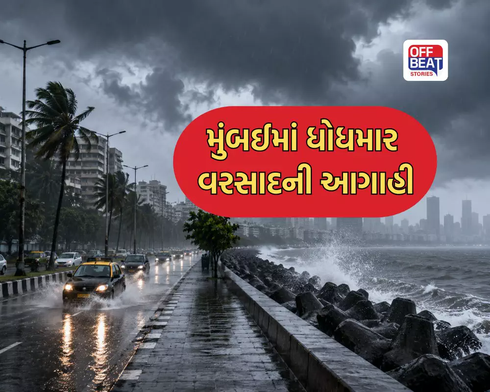 આગામી 48 કલાક ભારે!
