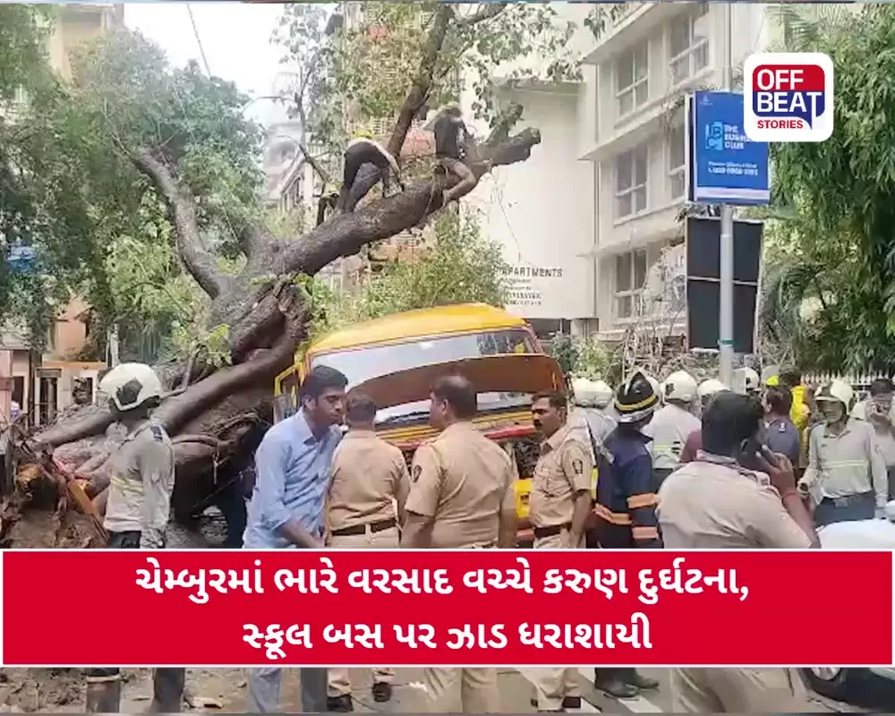 મુંબઈમાં મોટી દુર્ઘટના, સ્કૂલ બસ પર ઝાડ પડ્યું!