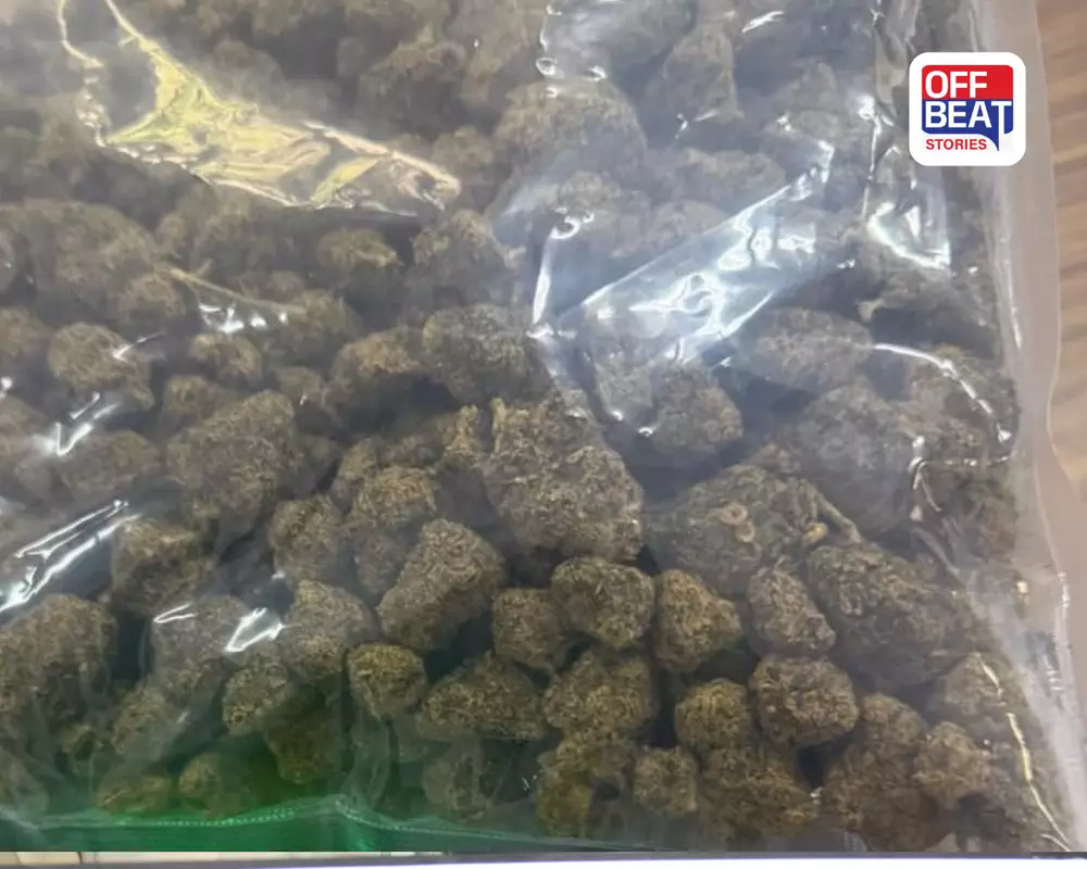 અમદાવાદ FPO પર કસ્ટમ્સનો મોટો પર્દાફાશ