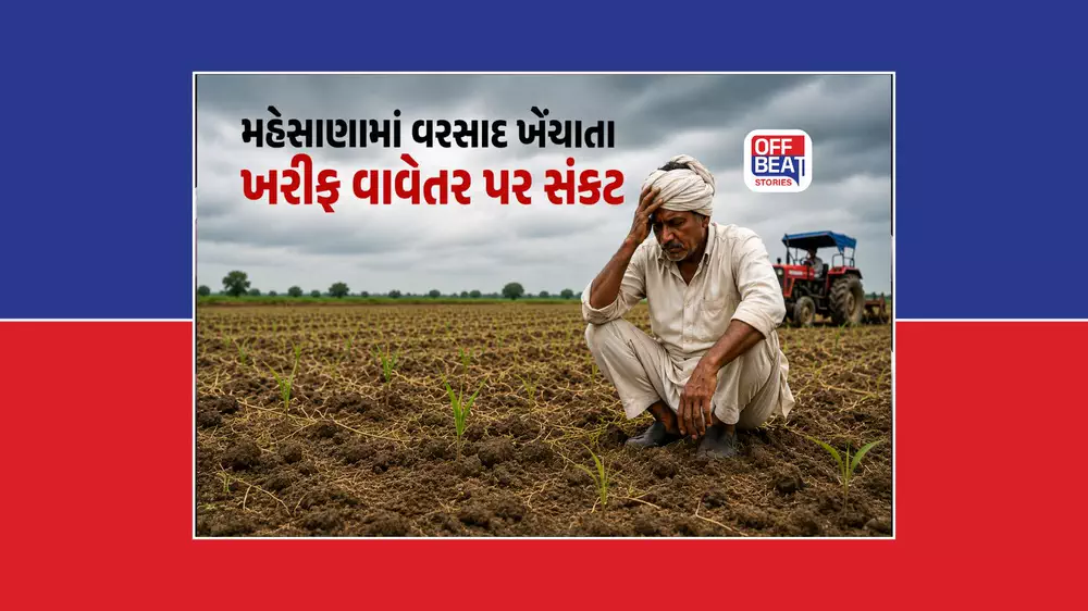 મહેસાણામાં વરસાદની લાંબી વાટથી ખરીફ ખેતી પર સંકટ
