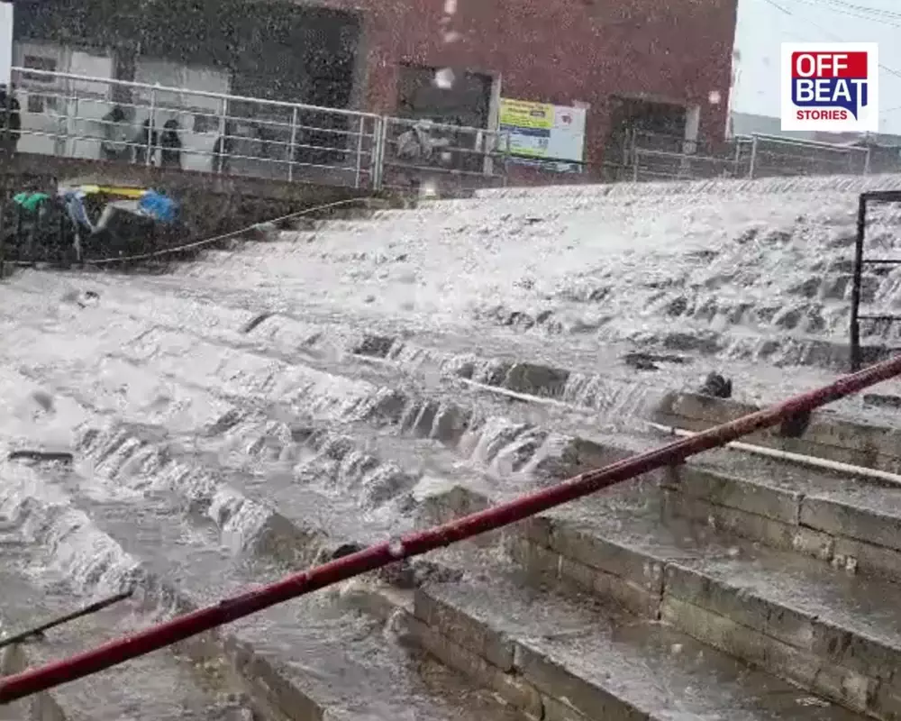 પાવાગઢ ડુંગર પર વરસાદી માહોલ જામ્યો