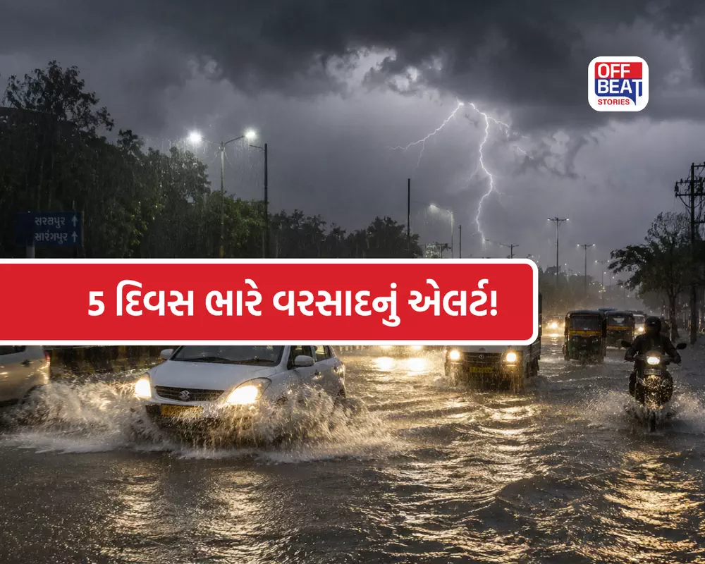 આંધી, તોફાન, વીજળી અને ધોધમાર વરસાદ