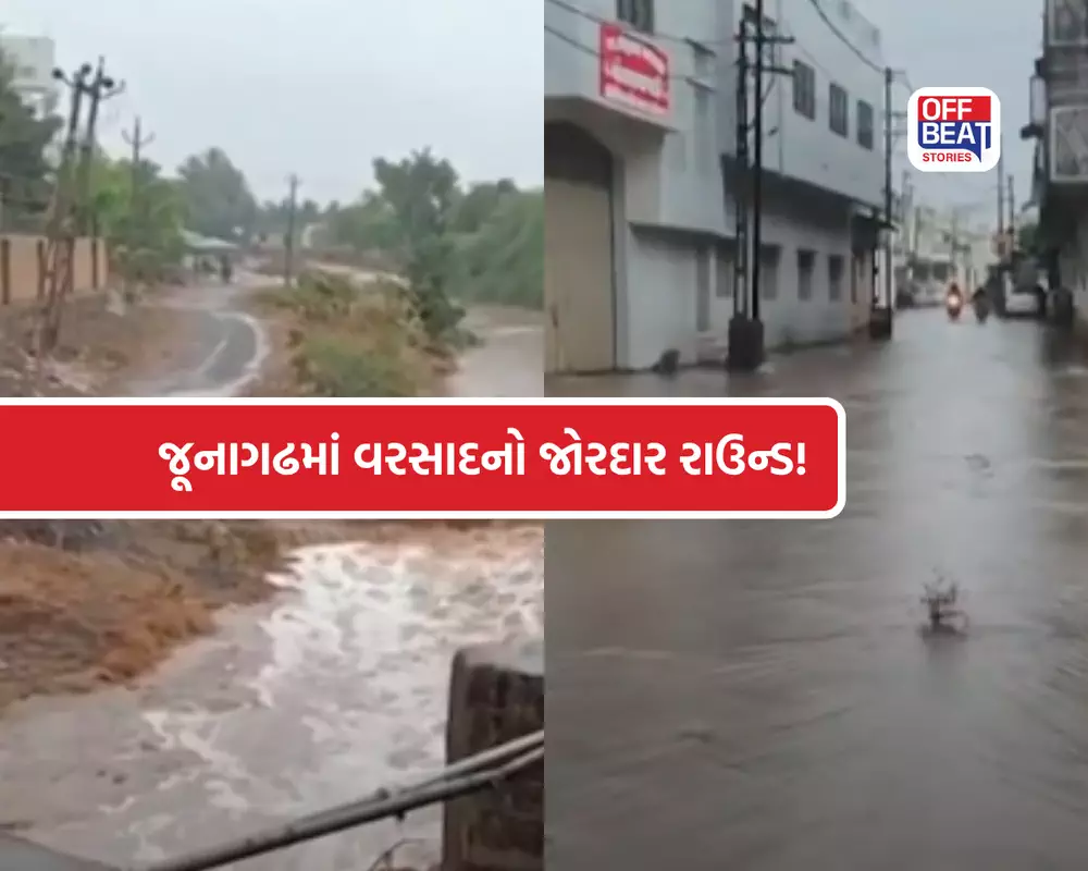 જૂનાગઢમાં મેઘરાજાની ધમાકેદાર બેટિંગ!
