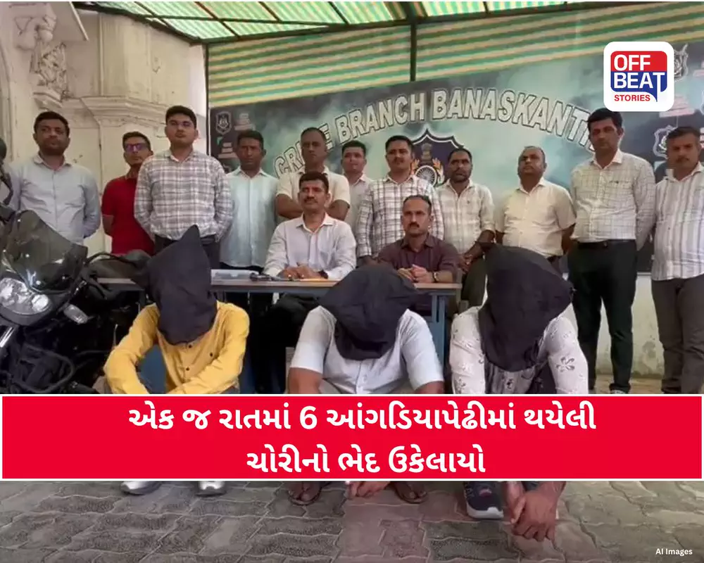 પાલનપુરમાં 6 આંગડિયા પેઢીઓમાં થયેલી ચોરીનો ભેદ ઉકેલાયો