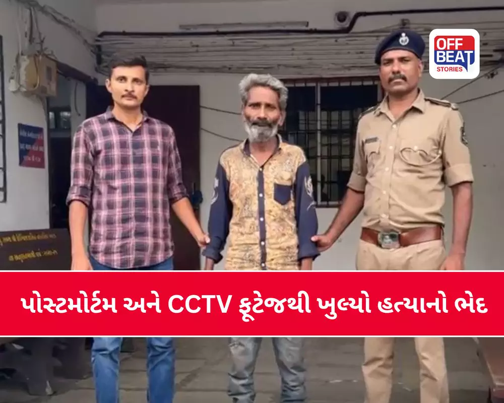 4 મિનિટમાં લાકડાના 13 ફટકા!