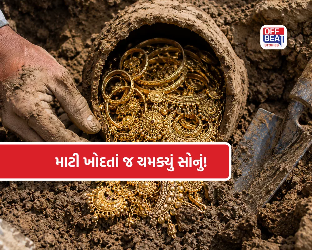 ખોદકામ કરતા ખેતરમાંથી નીકળ્યું કરોડો રૂપિયાનું સોનું!