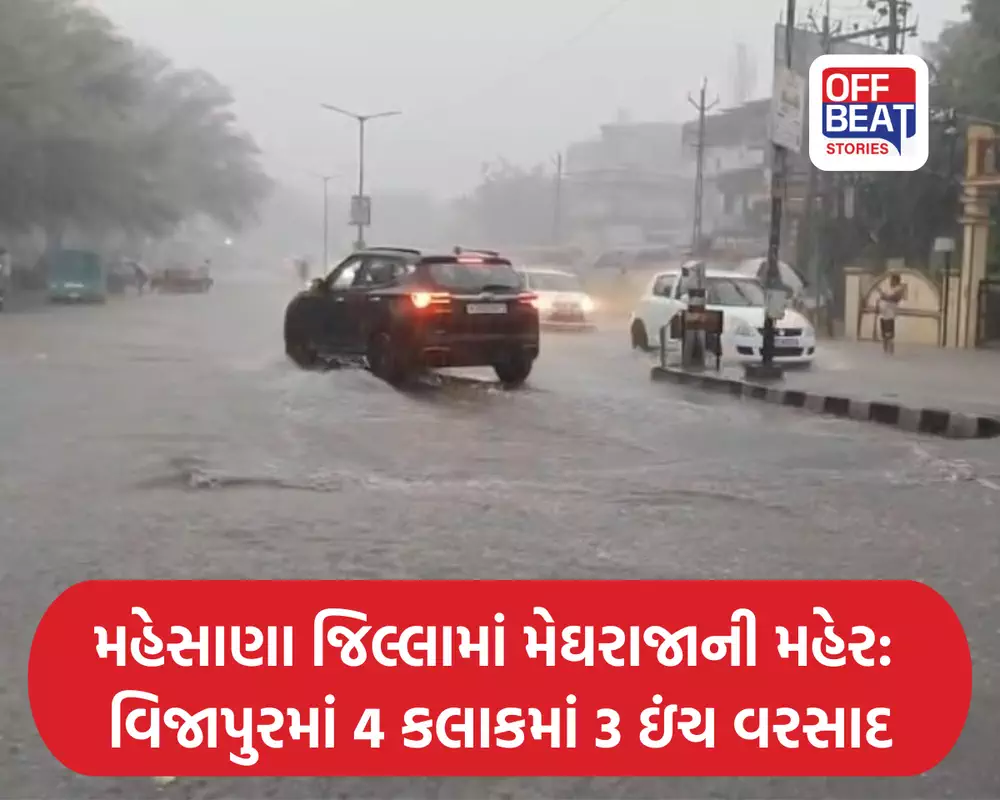 મહેસાણા જિલ્લામાં મેઘરાજાની મહેર