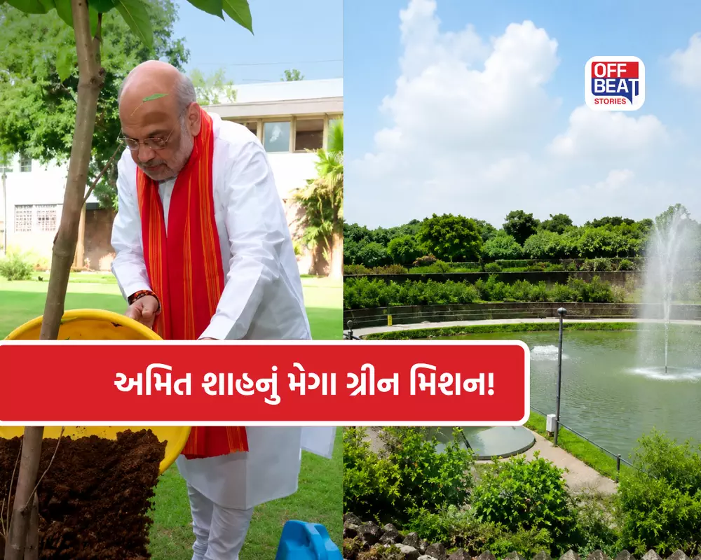 ગાંધીનગર લોકસભાને હરિયાળી બનાવવાનો મેગા પ્લાન