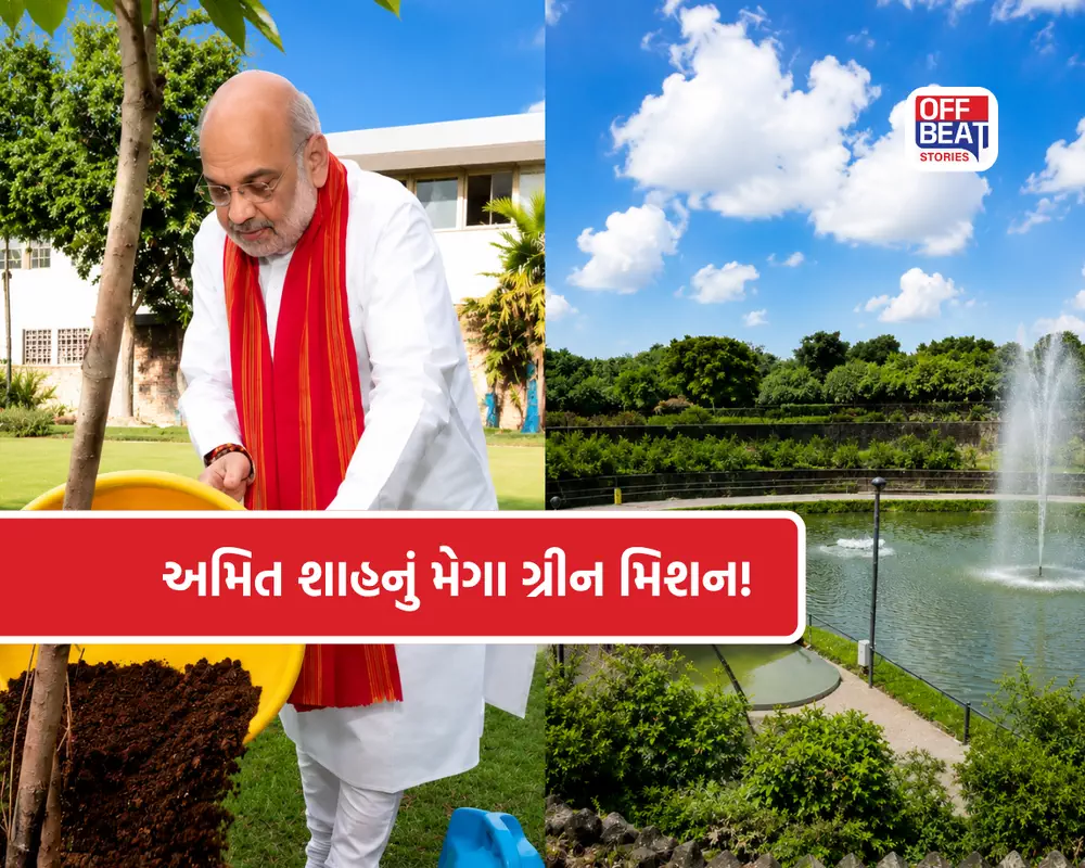 tree plantation campaign