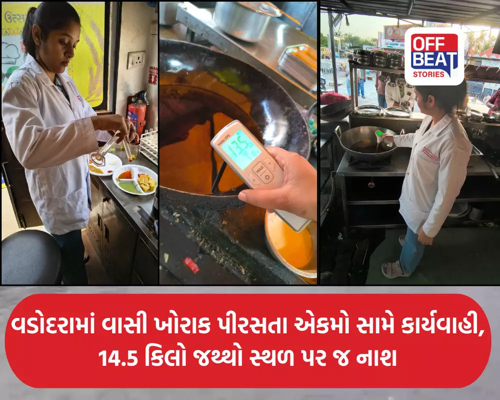 વડોદરામાં ફૂડ સેફ્ટીના ધજાગરા