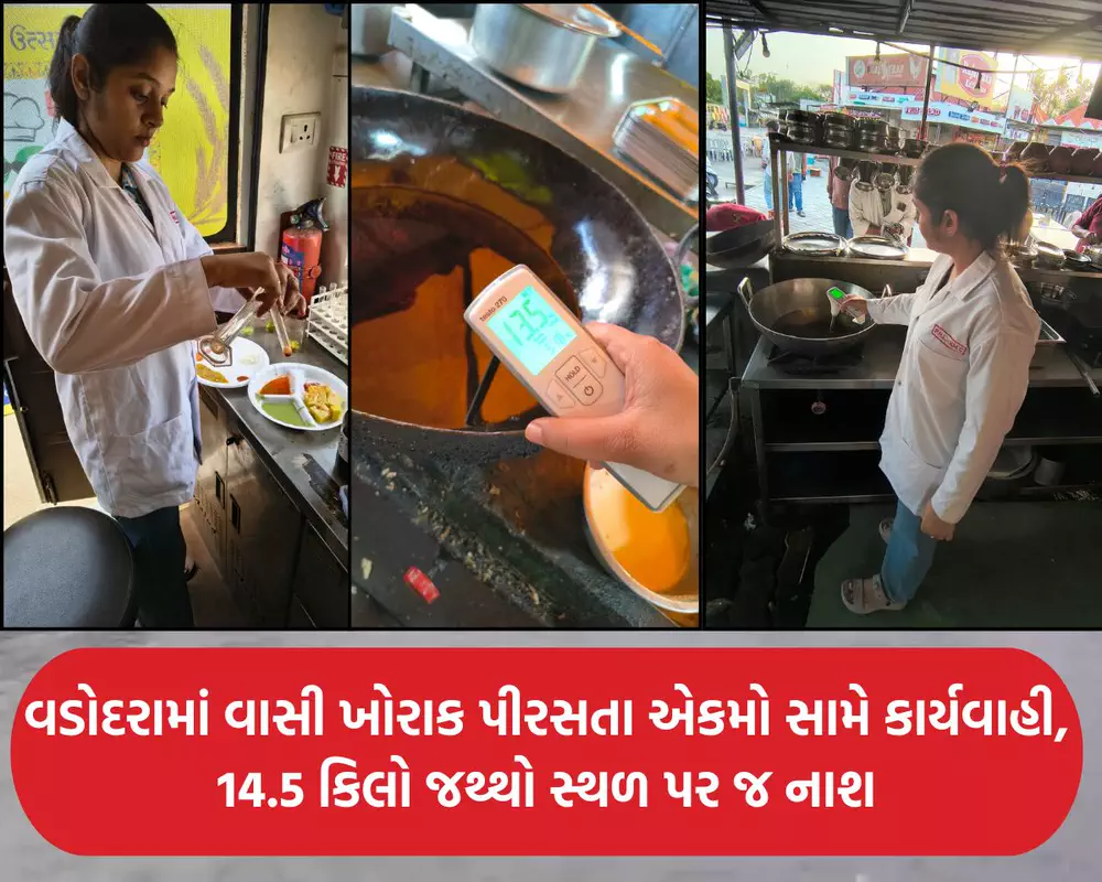 વડોદરામાં ફૂડ સેફ્ટીના ધજાગરા