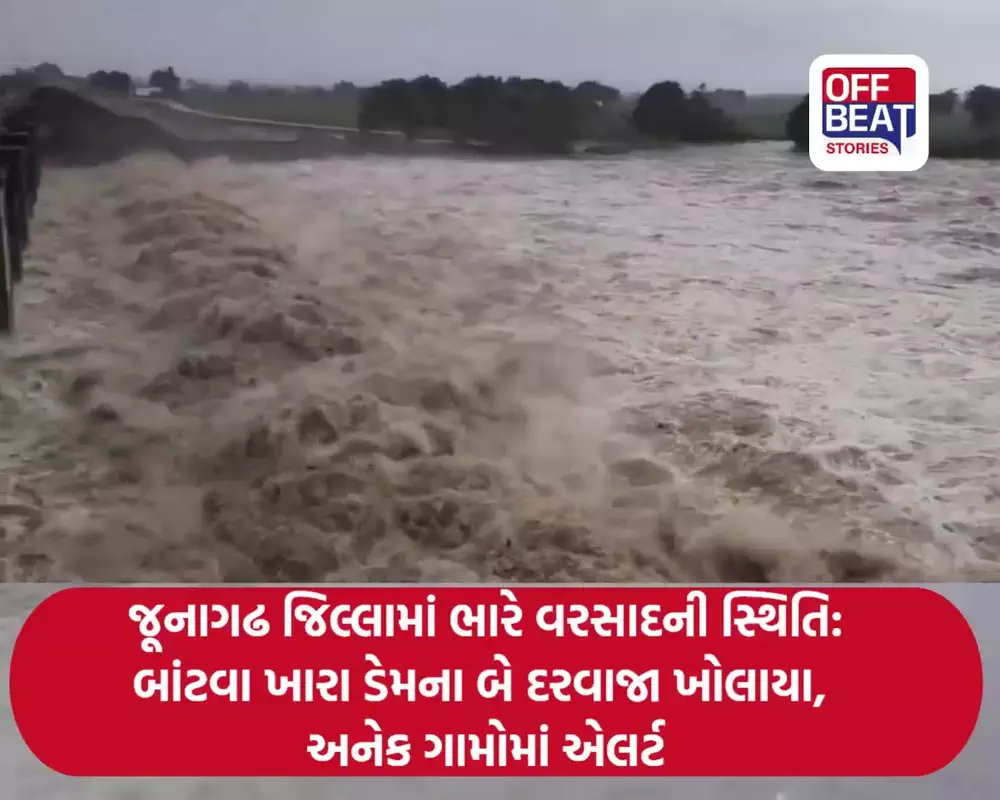 જૂનાગઢ જિલ્લામાં ભારે વરસાદની સ્થિતિ