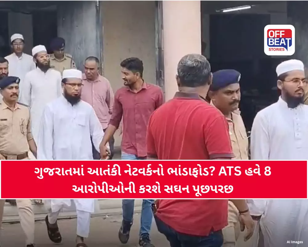 પાકિસ્તાની કનેક્શનની તપાસ તેજ!