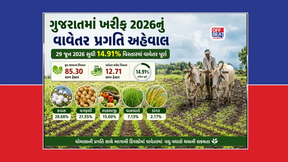 ગુજરાતમાં 12.71 લાખ હેક્ટરમાં ખરીફ વાવેતર પૂર્ણ