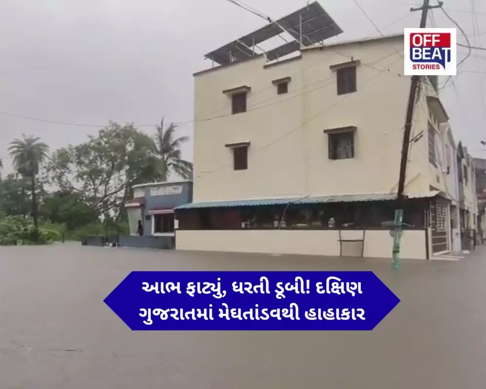 દક્ષિણ ગુજરાતમાં દે ધનાધન!