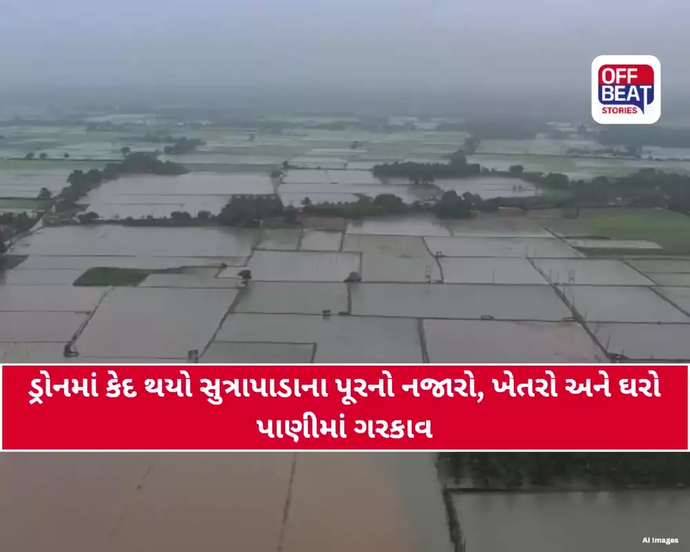 સુત્રાપાડામાં 25 ઇંચ વરસાદ: ખેતરો-ઘરો બધુ પાણીમાં ગરકાવ