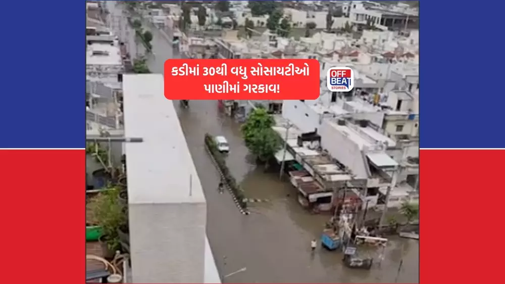 9 ઇંચ વરસાદે ફેરવી મહેસાણાના કડી તાલુકાની પથારી