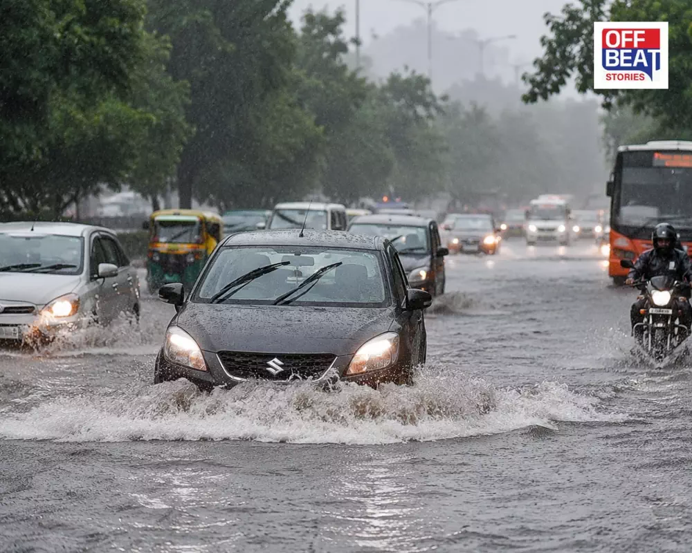 વરસાદી માહોલની છબી