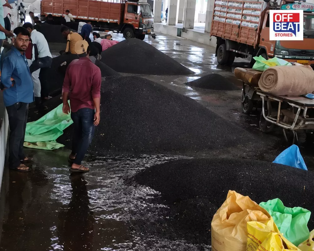 મેઘરાજા આફત બનીને વરસ્યા