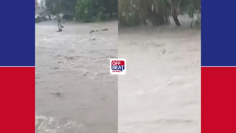 કેશોદમાં ધોધમાર વરસાદથી પૂર જેવી સ્થિતિ