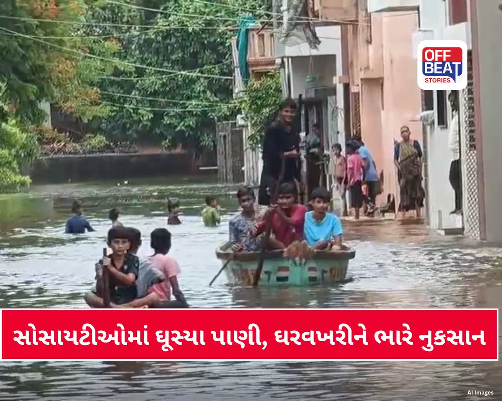 જૂનાગઢમાં 24 કલાકમાં 22 ઇંચ વરસાદથી માંગરોળ બેટમાં ફેરવાયું!