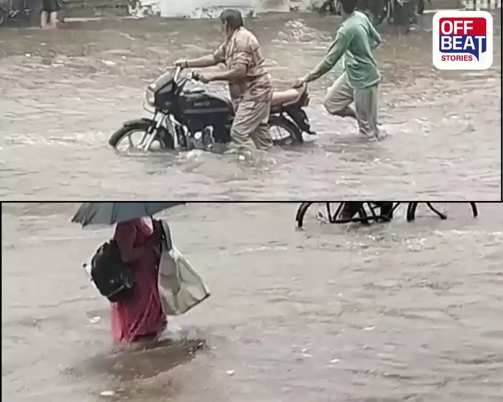 ભાવનગર જિલ્લામાં મેઘરાજાની ધમાકેદાર એન્ટ્રી