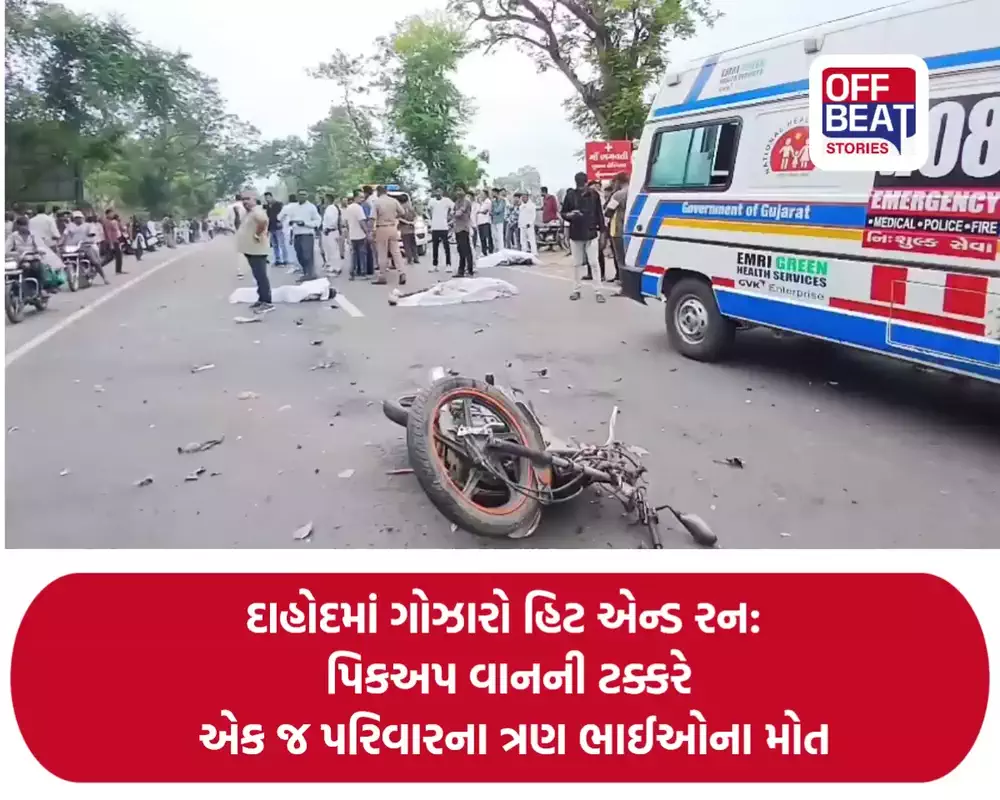 દાહોદમાં ગોઝારો હિટ એન્ડ રન