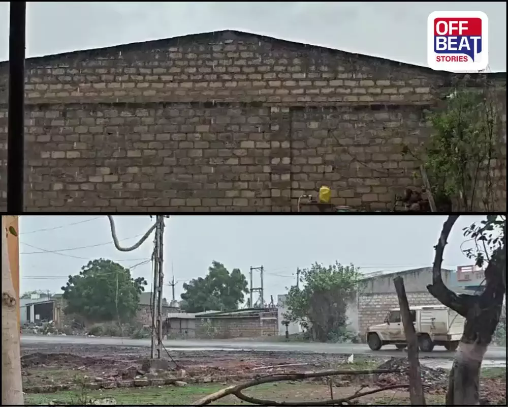 અમરેલીમાં વરસાદી માહોલ