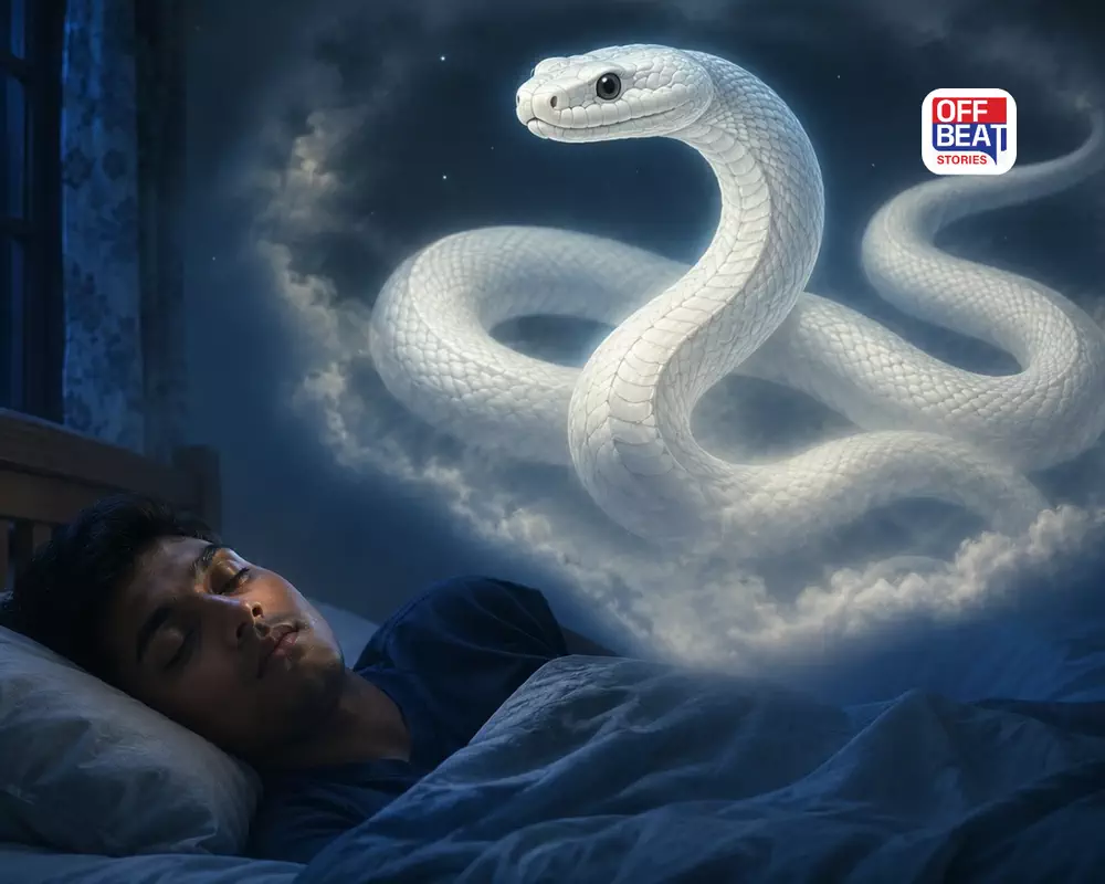 સપનામાં સફેદ નાગ જોવો શુભ છે કે અશુભ?