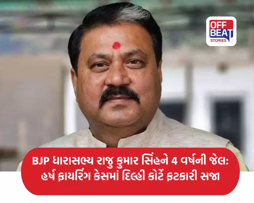 બિહારના BJP ધારાસભ્ય રાજુ કુમાર સિંહને 4 વર્ષની જેલ